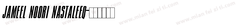 Jameel Noori Nastaleeq字体转换